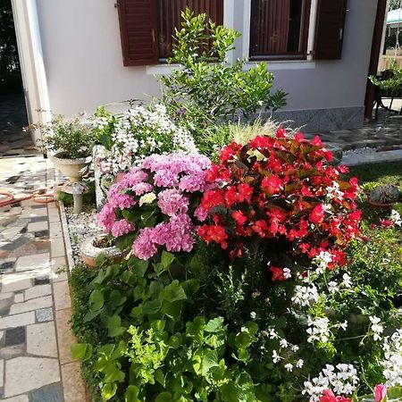 Holiday Home Nadia Pula Exterior photo